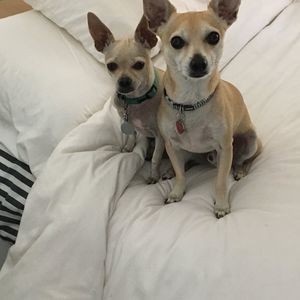 Meet your Posher, Robin m